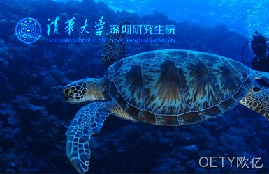 点击查看