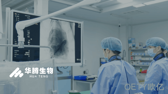 外贸网站设计