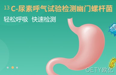 丹娜检测网站案例