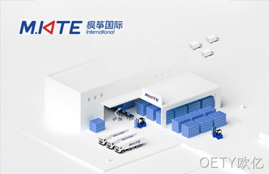 枫筝国际网站案例