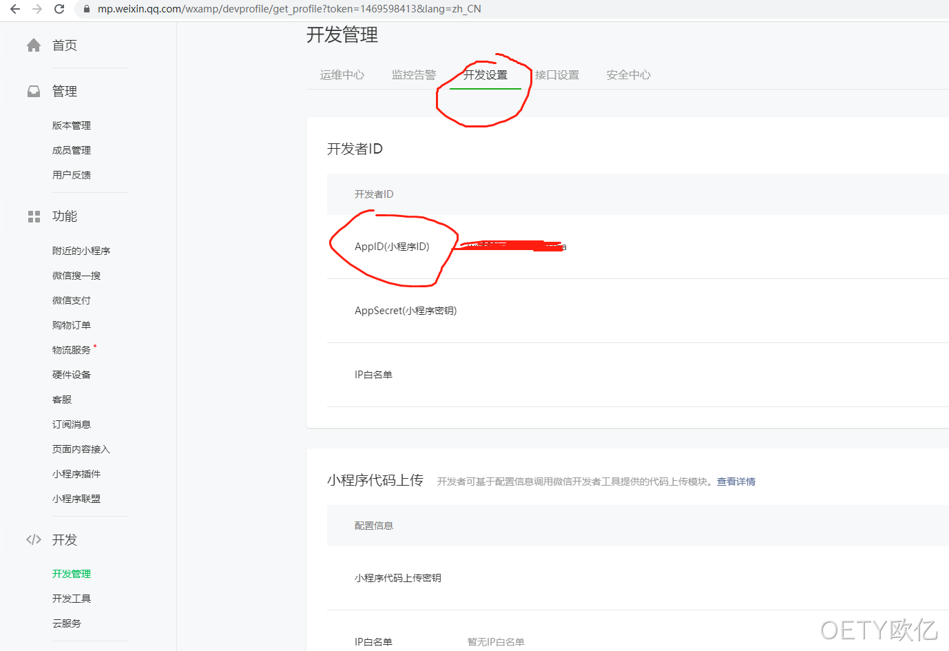 开发设置