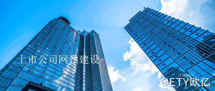 上市公司网站建设