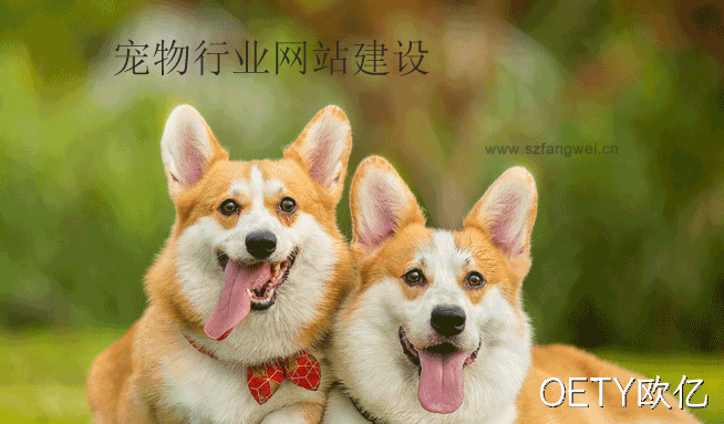 宠物行业网站建设
