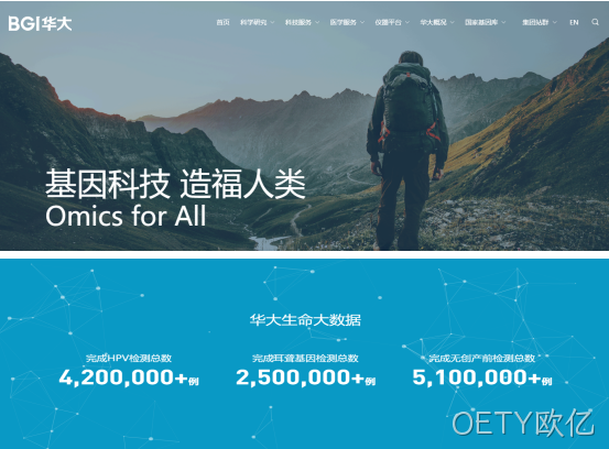 网站案例