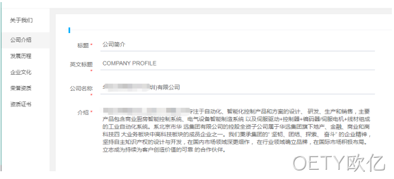 企业网站开发