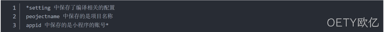 JSON 配置文件