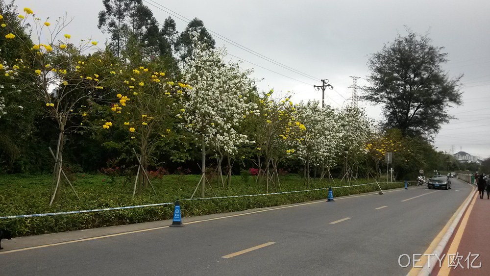 OETY欧亿仙湖行